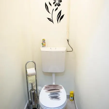 Perczel11 Apartman * 페치
